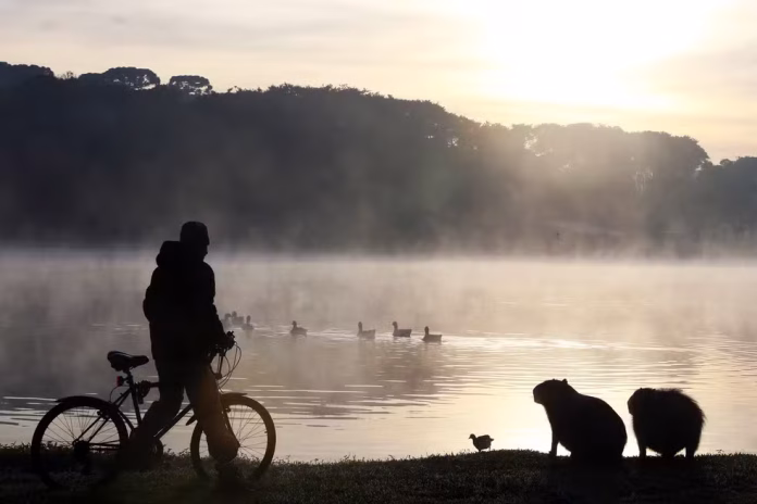 frio-parana