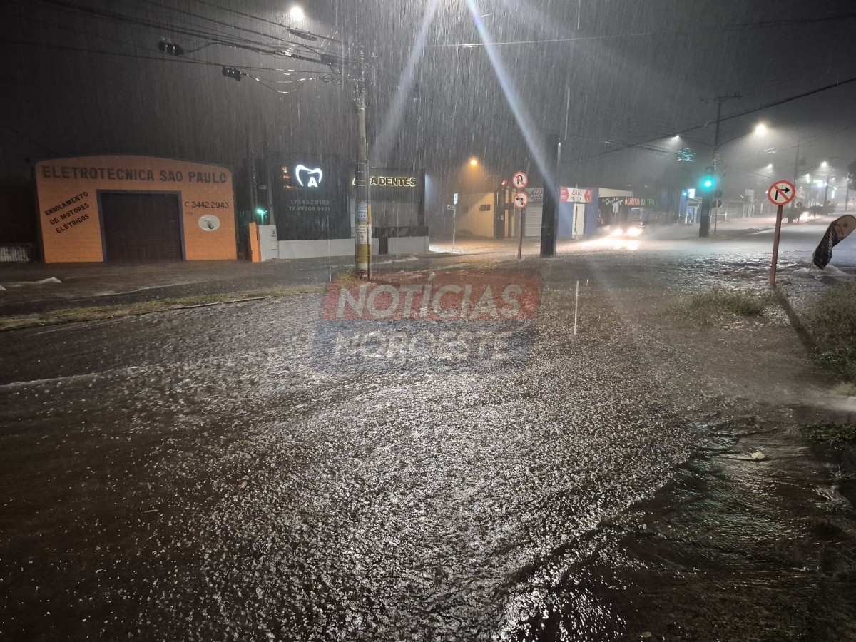 Temporal com ventos fortes mobiliza equipes de emergência em Fernandópolis no fim de semana